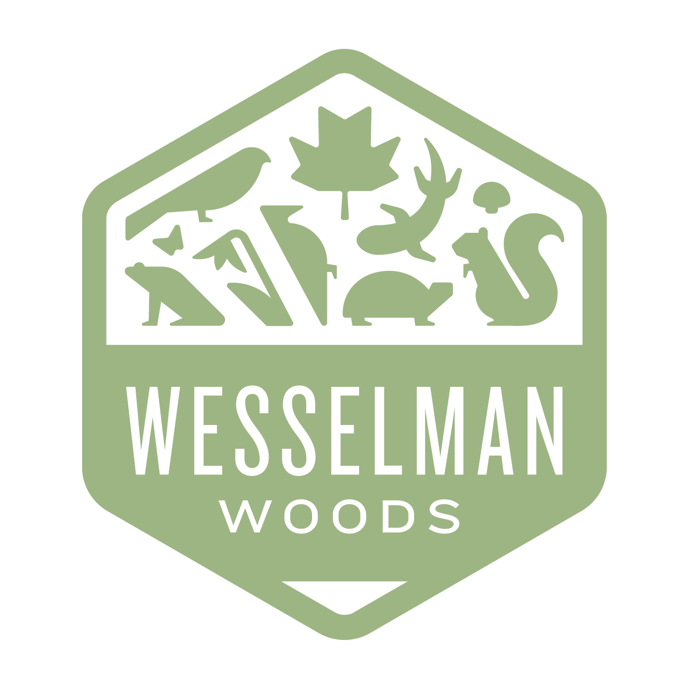 Environmental Studies Series - logo